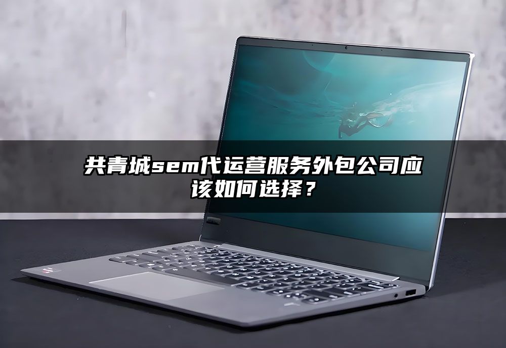 共青城sem代运营服务外包公司应该如何选择?