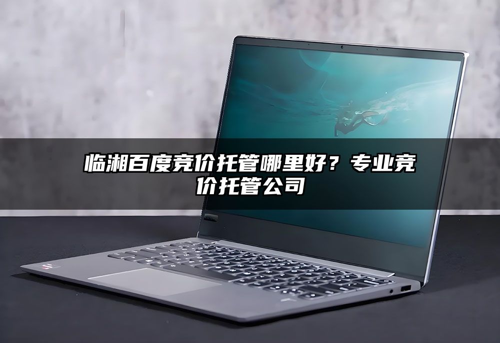 临湘百度竞价托管哪里好？专业竞价托管公司