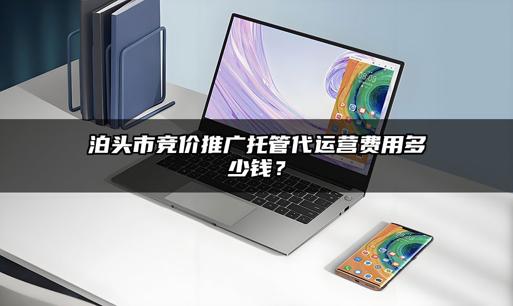 泊头市竞价推广托管代运营费用多少钱？