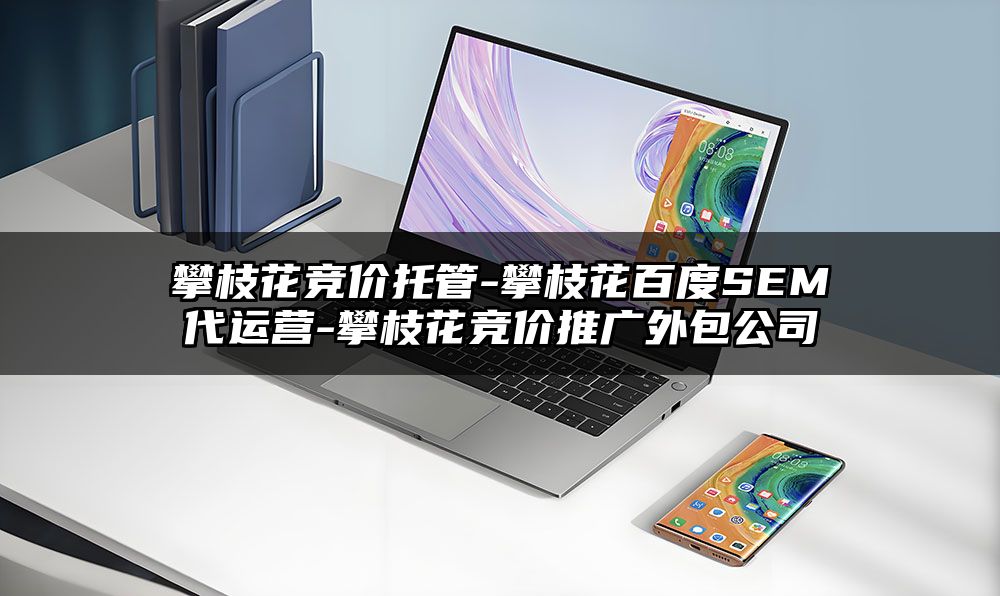 攀枝花竞价托管-攀枝花百度SEM代运营-攀枝花竞价推广外包公司