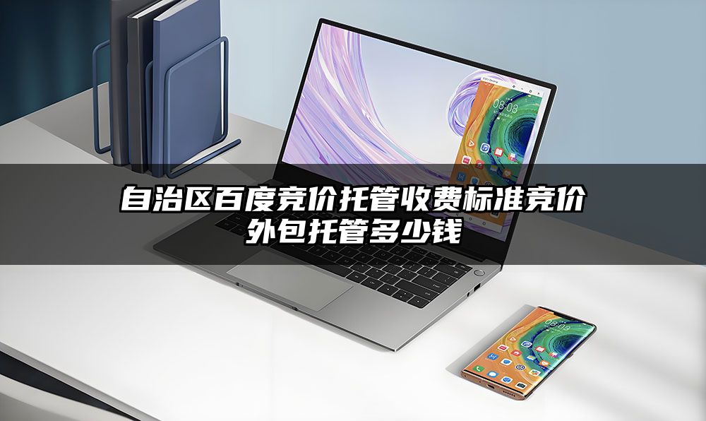 自治区百度竞价托管收费标准竞价外包托管多少钱