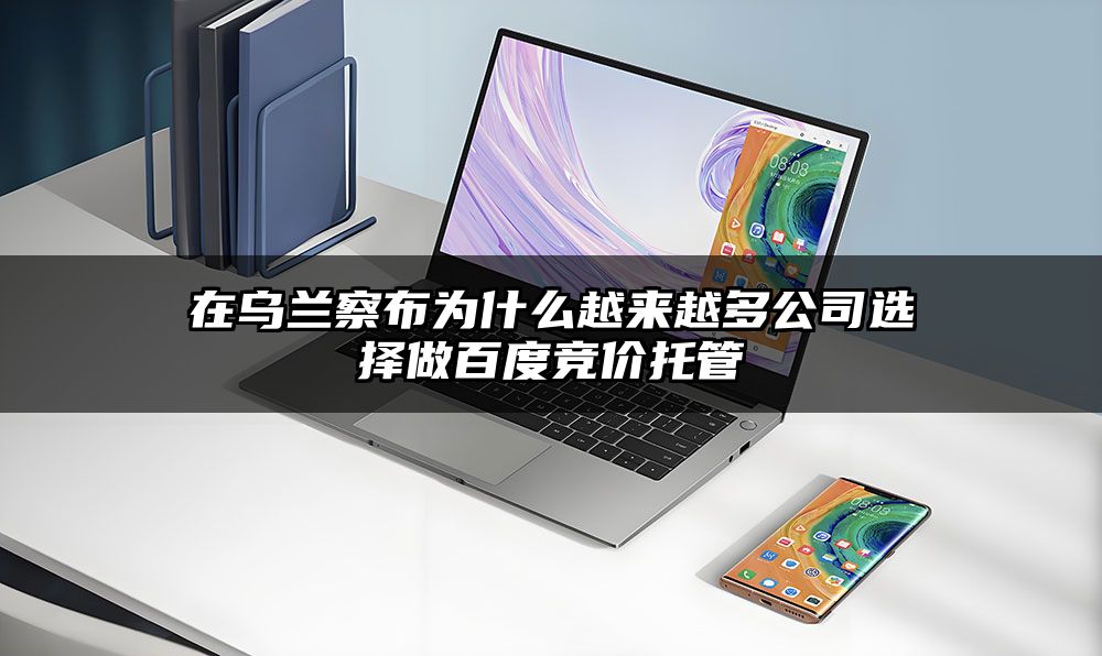 在乌兰察布为什么越来越多公司选择做百度竞价托管