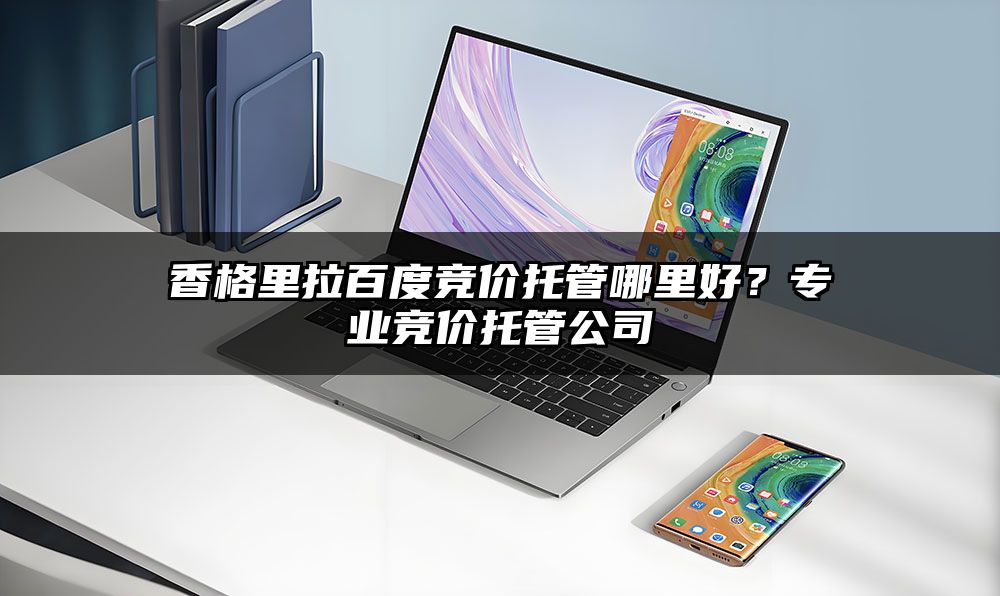 香格里拉百度竞价托管哪里好？专业竞价托管公司