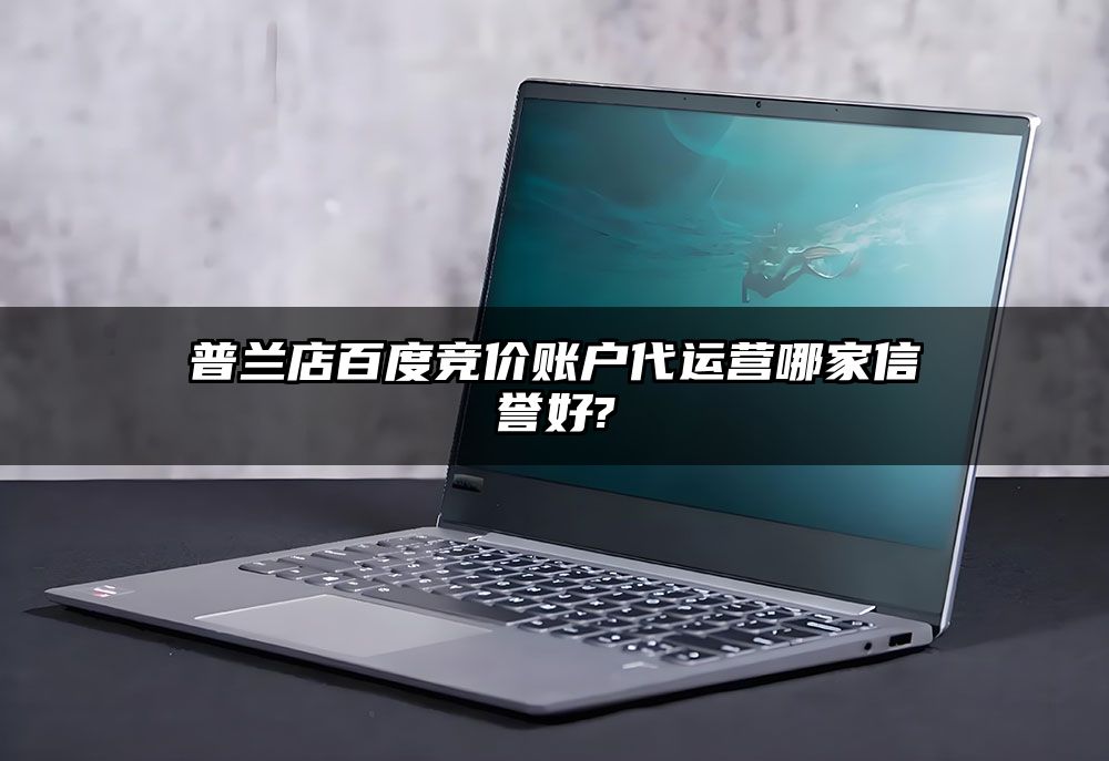 普兰店百度竞价账户代运营哪家信誉好?