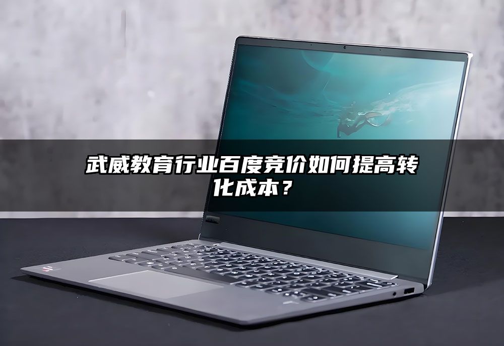 武威教育行业百度竞价如何提高转化成本？