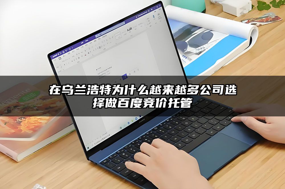 在乌兰浩特为什么越来越多公司选择做百度竞价托管