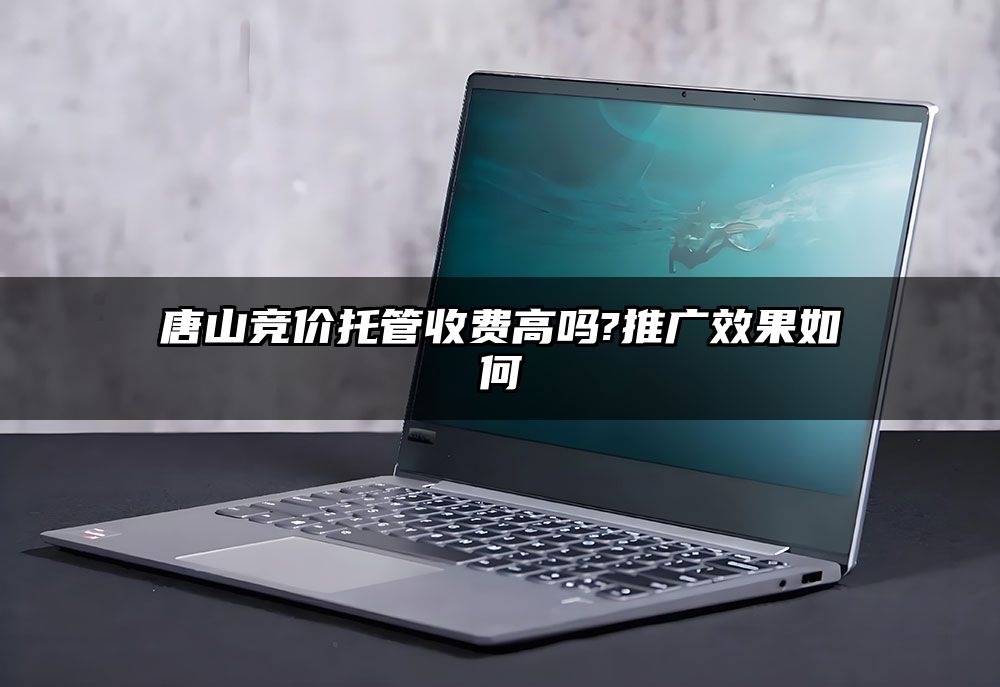 唐山竞价托管收费高吗?推广效果如何