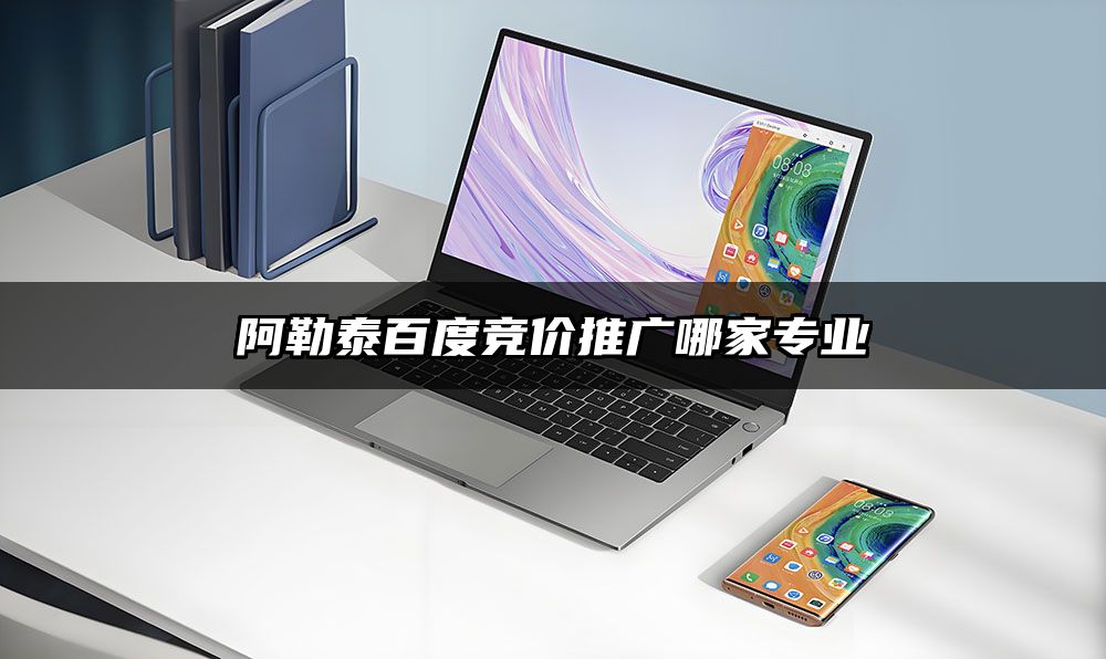 阿勒泰百度竞价推广哪家专业