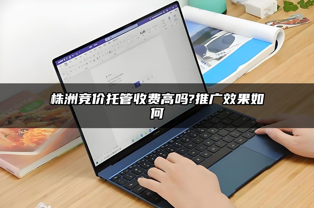 株洲竞价托管收费高吗?推广效果如何