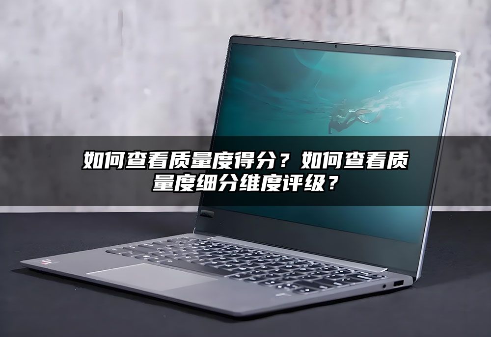 如何查看质量度得分？如何查看质量度细分维度评级？