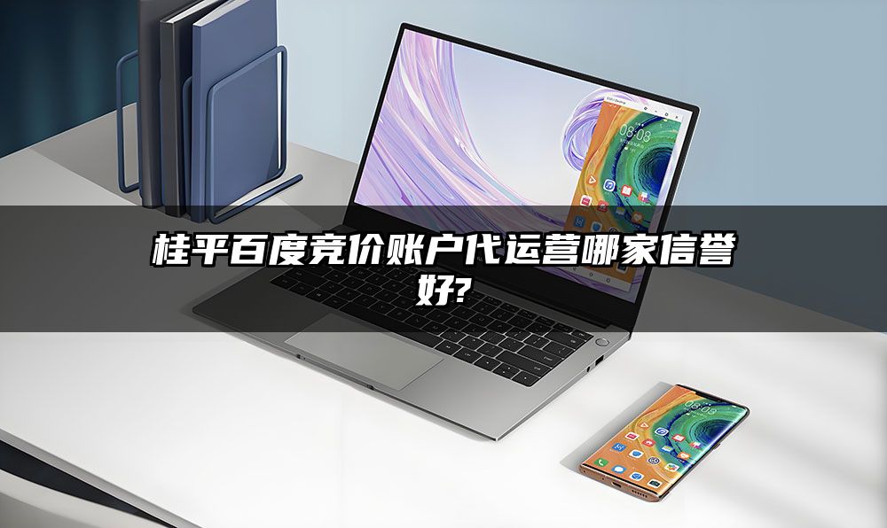 桂平百度竞价账户代运营哪家信誉好?