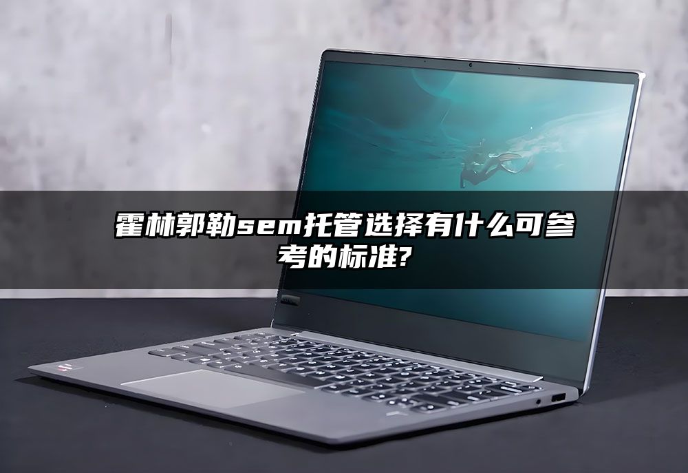 霍林郭勒sem托管选择有什么可参考的标准?