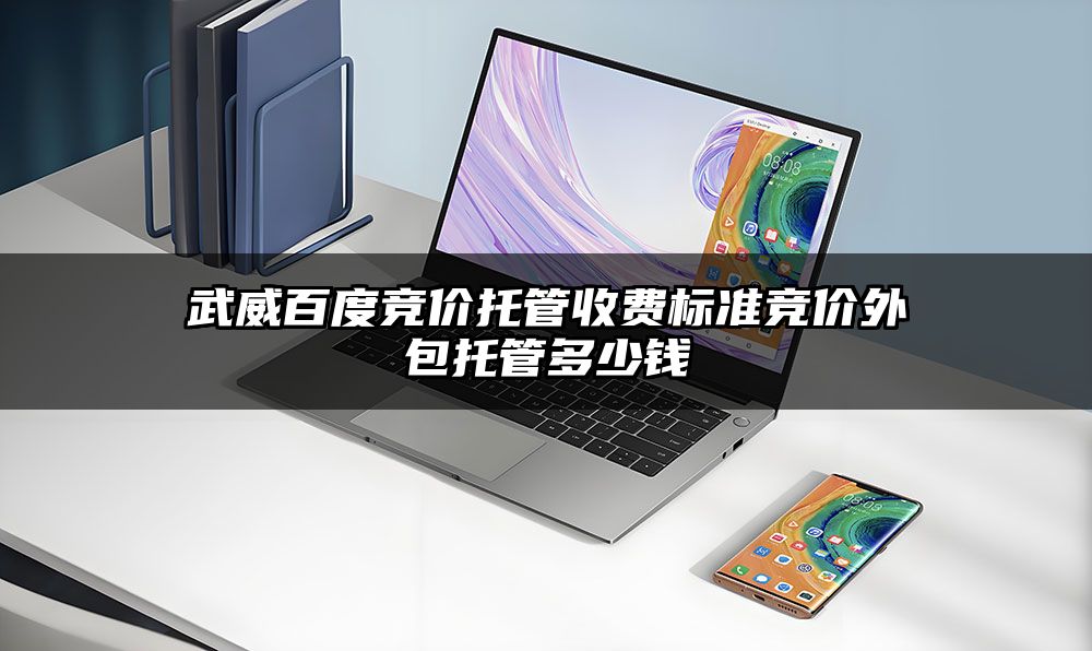 武威百度竞价托管收费标准竞价外包托管多少钱