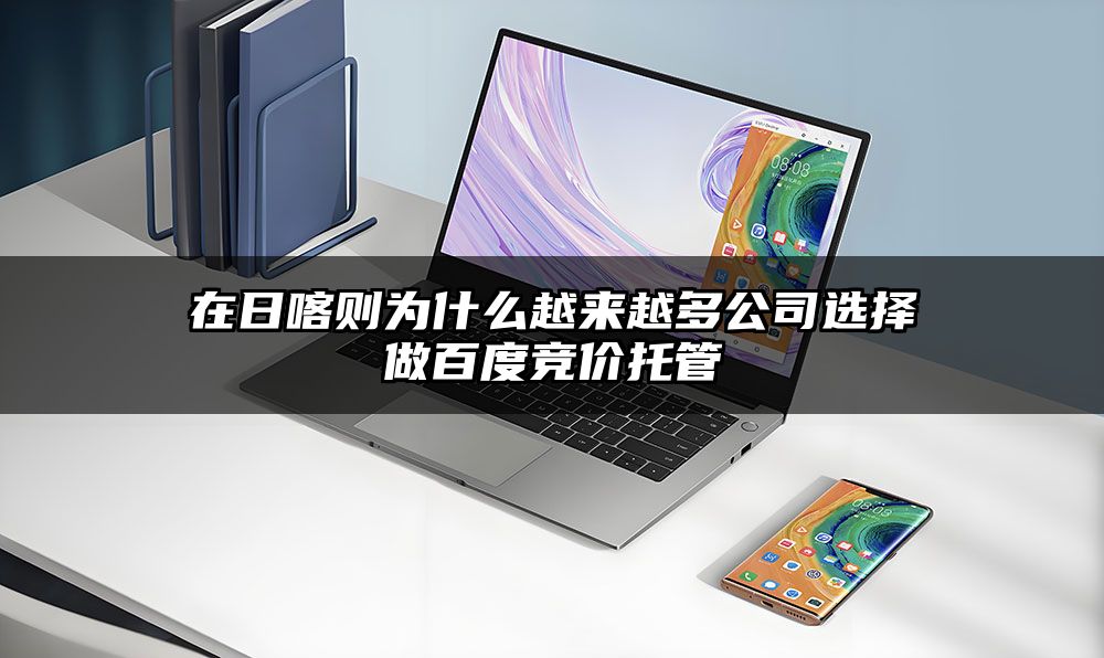 在日喀则为什么越来越多公司选择做百度竞价托管