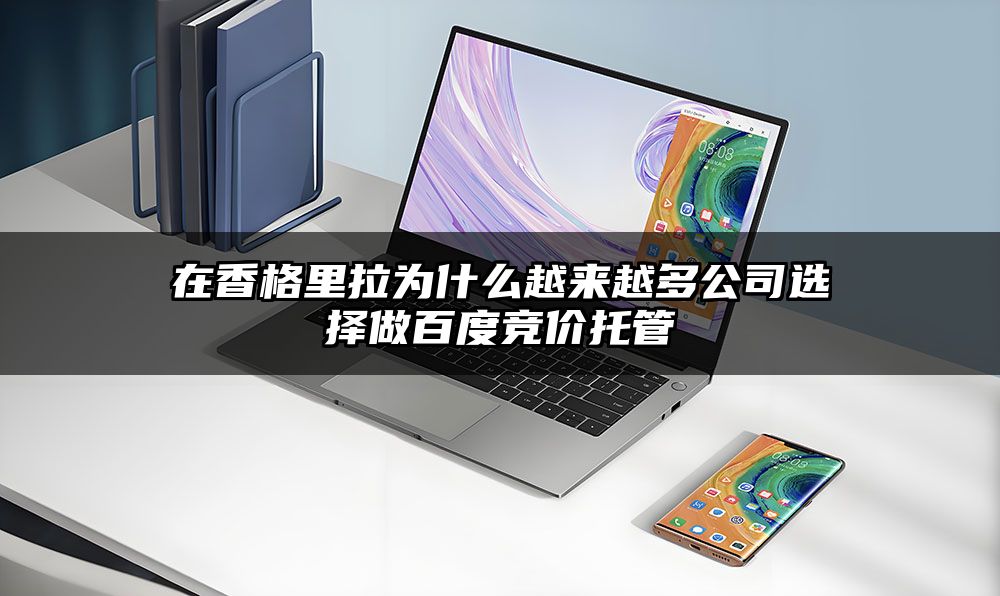 在香格里拉为什么越来越多公司选择做百度竞价托管